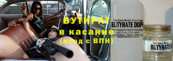 шишки Верея