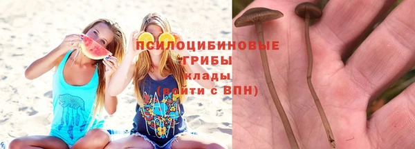 таблы Верхний Тагил
