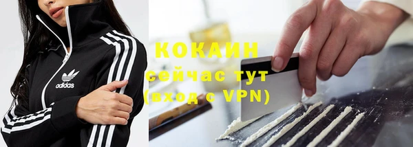 шишки Верея
