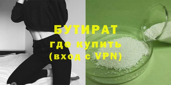 шишки Верея