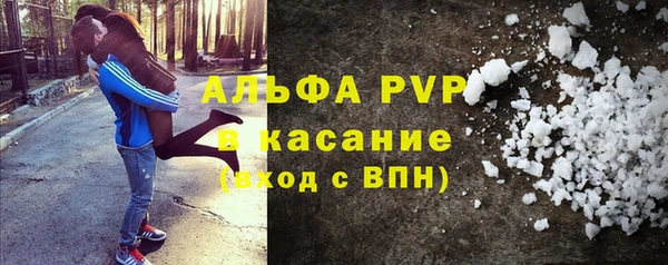 шишки Верея