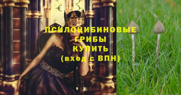 таблы Верхний Тагил
