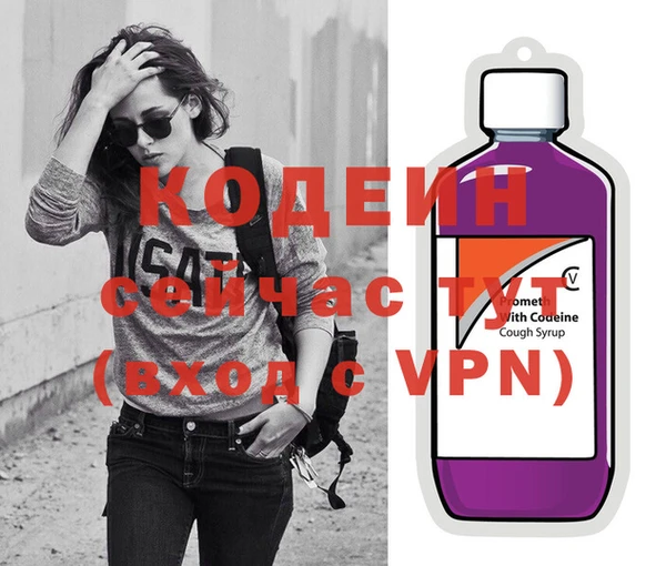 шишки Верея