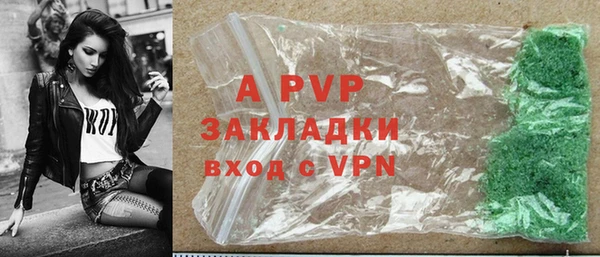 шишки Верея