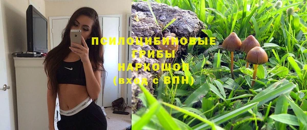 таблы Верхний Тагил