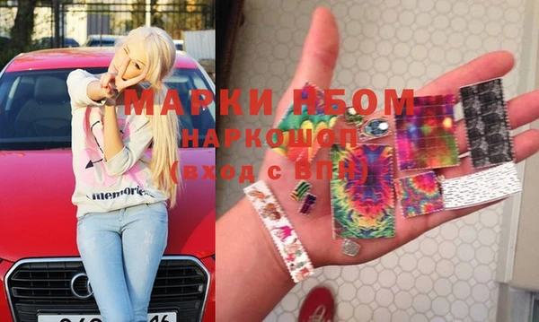 шишки Верея