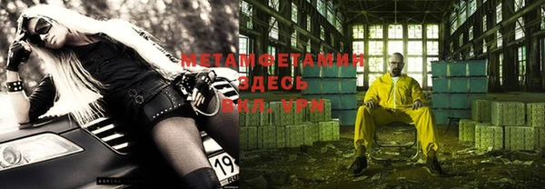 шишки Верея