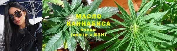 шишки Верея