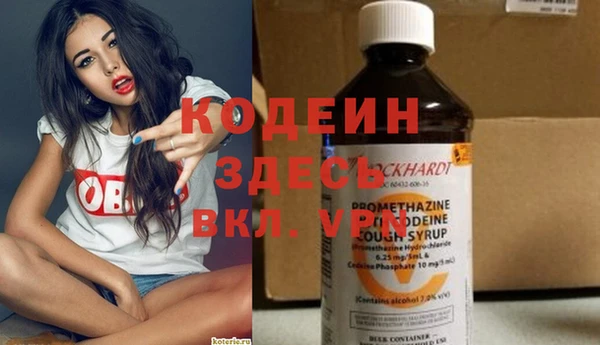 шишки Верея