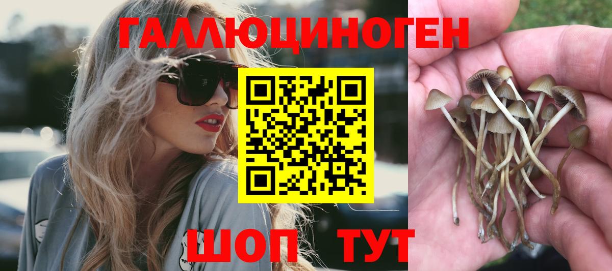 Галлюциногенные грибы Magic Shrooms  Вход с VPN  где купить наркотик  Моршанск 